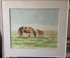 127 - paarden aquarel - cat 4.1 - 80x70
