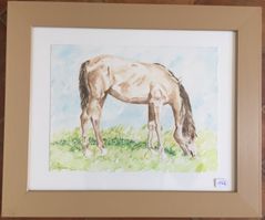 162 - aquarel paard - categorie 2.1- 35x30