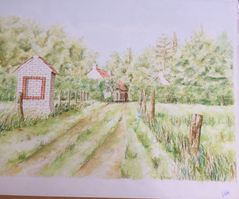 229 - aquarel boerderij - categorie 4 - 40x55